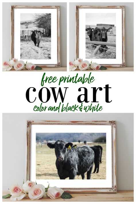 Free Printable Cow Art - five photos, color and black and white to choose from. #freeprintable #freeprintables #printablewallart #freeprintablewallart #cowart #cowprintable #cowprint #cowartprint #cowwallart #freewallart #wallart Printable Cow, Cow Wall Decor, Farm Prints, Cow Prints, Cow Art Print, Free Wall Art, Cow Wall Art, Cow Decor, Cow Pictures