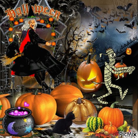 3513336_86b9a.gif (GIF Image, 500 × 500 pixels) Happy Halloween Video, Halloween Pauroso, Happy Halloween Cards, Happy Halloween Gif, Happy Halloween Quotes, Happy Halloween Funny, Happy Halloween Pictures, Photo Halloween, Happy Halloween Banner