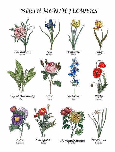 Birth Month Flowers: What Is My Birth Flower? Wreath Arrangements, Birth Month Symbols, Birthmonth Flower, February Flower, Flowers Of The Month, January Flower, July Flower, Birthday Month Flowers, December Birth Flower