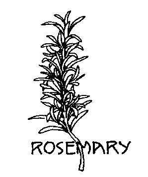 Rosemary from clipart-library.com Herbs Image, Herb Embroidery, Lace Beadwork, Chalkboard Doodles, Herb Boxes, Rosemary Plant, American History Lessons, African Art Paintings, Colonial America