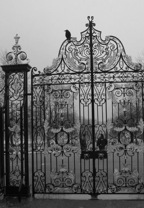 Cemetery Gates, Gates And Fences, Wrought Iron Gates, Vampire Academy, 다크 판타지, The Infernal Devices, Iron Work, Iron Gates, Bloodborne