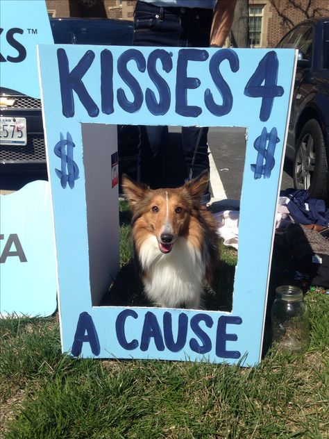 Booth Fundraiser Ideas, Dog Shelter Fundraising Ideas, Sorority Fundraiser Ideas, Philanthropy Events Sorority Fundraising Ideas, Sorority Fundraising Ideas, Sorority Fundraiser, Philanthropy Ideas, Animal Shelter Fundraiser, Dog Fundraiser