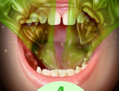 4 Unknown Causes of Halitosis That Can Help You Keep Your Breath Fresh Forever Chronic Bad Breath, Prevent Bad Breath, Yeast Overgrowth, Bad Breath Remedy, Park Seojun, Best Probiotic, Probiotic Foods, Vanity Room, Healthy Bacteria