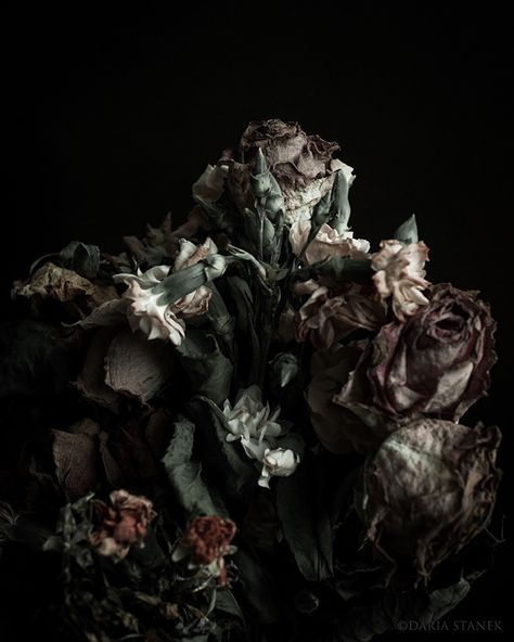 Decay Art, Billy Kidd, Wilted Flowers, Dead Flowers, Growth And Decay, Dark Flowers, Hades And Persephone, High Fantasy, Natural Forms