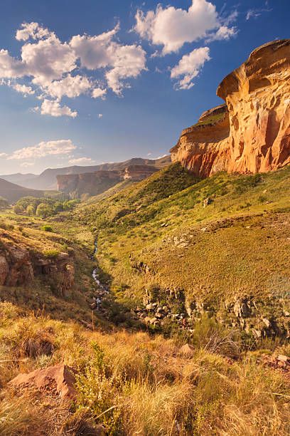 Windmill Water Pump, South Africa Map, Drakensberg Mountains, Windmill Water, South Africa Flag, Provinces Of South Africa, Africa Flag, Free State, Eastern Cape