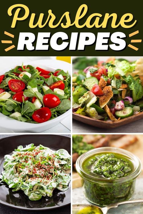 Though it may look like a pesky weed, these purslane recipes are here to prove that this herbaceous plant deserves pride of place on your dinner table. Purslane Recipes, Purslane Recipe, Spinach Appetizers, Soy Sauce Dressing, Easy Veggie Side Dish, Homemade Salsa Verde, Foraging Recipes, Pork Stew, Vegetarian Sides