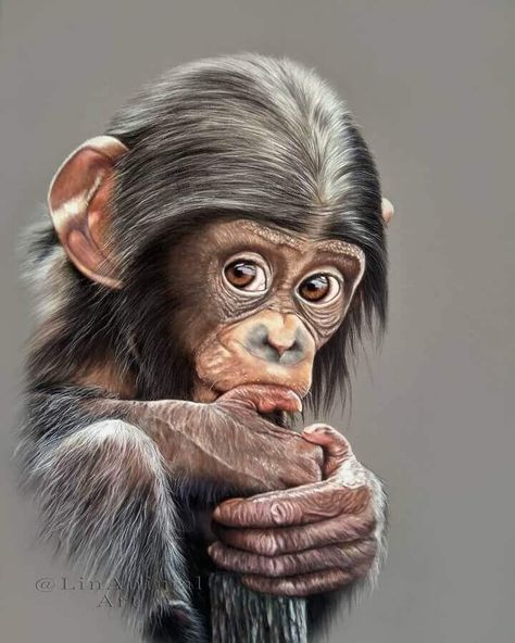 animal portraits pastel pencils Monkey Drawing, Monkey Tattoos, Pencil Drawings Of Animals, Animal Portraits Art, Monkey Art, Pastel Portraits, Animal Portraits, Art Gallery Wallpaper, Pastel Pencils