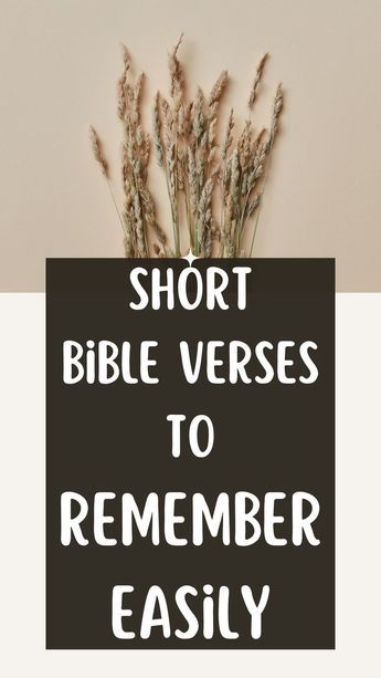 List of short bible verses that are easy to remember. Bible Short Verse, Short Bible Verses About Happiness, Bible Verses Quotes Inspirational Short, Happy Bible Verses, Crazy Sayings, Bible Verses About Nature, Bible Memorization, Short Scriptures, Verse Memorization