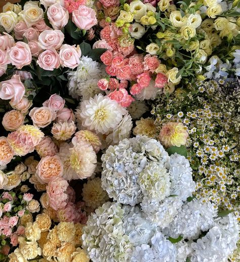 the sweetest pastel tones 💌 Pastel Flowers Aesthetic, Bouquet Inspiration, Prom Theme, Pastel Flowers, Pretty Flowers, Prom, Pastel, Collage, Flowers