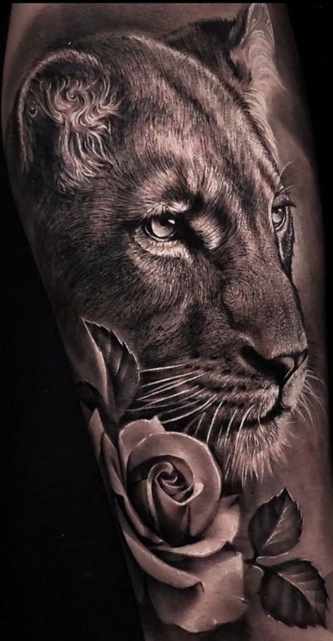 Lions Face Tattoo, Roaring Lioness Tattoo, Safari Tattoo Design, Realistic Lion Tattoo Design, Safari Tattoo, Fierce Lioness, Lion And Lioness Tattoo, Lioness Tattoo Design, Female Lion Tattoo