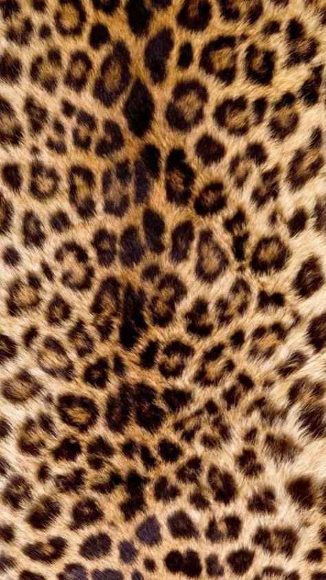 Wallpaper Profile, Cheetah Wallpaper, Leopard Print Wallpaper, Cheetah Print Wallpaper, Cheetah Style, Ad Layout, Indie Drawings, Wallpaper Photos, Animal Print Fashion