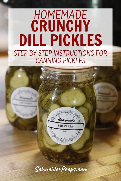 Learn how to can your own delicious dill pickles with our easy-to-follow recipe! Crunchy cucumbers, aromatic dill, and tangy brine combine for homemade perfection. Preserve the flavors of summer with this canning favorite Crunchy Pickles Canning, Crisp Dill Pickle Canning Recipe, Crunchy Dill Pickle Recipe Canning, Crispy Dill Pickle Recipe, Crunchy Dill Pickle Recipe, Dill Pickle Recipes, Crispy Dill Pickles, Crunchy Dill Pickles, Canning Pickles Recipe