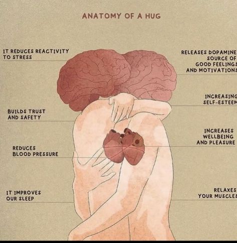 Basic Anatomy And Physiology, Fun Facts About Life, Biology Facts, Osho Quotes, Need A Hug, Medical Knowledge, Health Knowledge, Anatomy And Physiology, Mental And Emotional Health