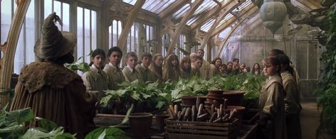 Harry Potter Wiki, School Places, Harry Potter Set, Neville Longbottom, Ministry Of Magic, Hogwarts Aesthetic, Chamber Of Secrets, Harry Potter Pictures, Harry Potter Films