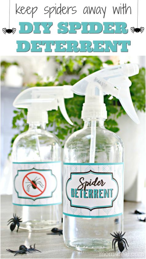 3 Ingredient Homemade Spider Deterrent and Killer Homemade Spider Spray, Spider Deterrent, Spider Spray, Spider Killer, Repellent Diy, Spiders Repellent, Homemade Bug Spray, Diy Spider, Diy Bug Spray