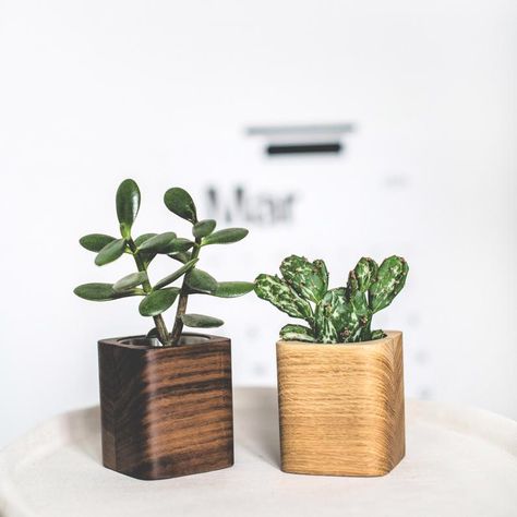 Pot Kayu, Wooden Succulent Planter, Wood Succulent Planter, Wooden Plant Pots, Desk Planter, Wooden Pot, Plant Pot Design, Wood Pots, Wooden Planter Boxes