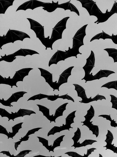 Image de bats, wallpaper, and background Helloween Wallpaper, Gijinka Pokemon, Bats Flying, Tumblr Hipster, Bat Pattern, Whatsapp Wallpaper, Halloween Backgrounds, Halloween Wallpaper, Pastel Goth