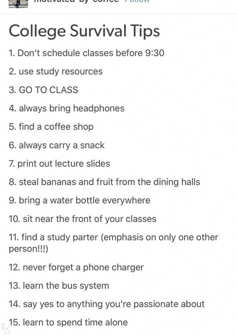 Studie Hacks, College Survival Guide, College Life Hacks, College Survival, College Advice, Student Hacks, School Survival, College Study, College Prep