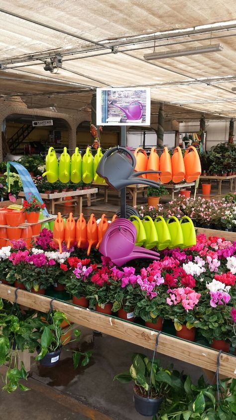 Garden Centre, Cactus Farm, Gift Shop Displays, Garden Center Displays, Farmers Market Display, Plant Display Ideas, Flower Shop Design, Rose Nursery, Garden Store