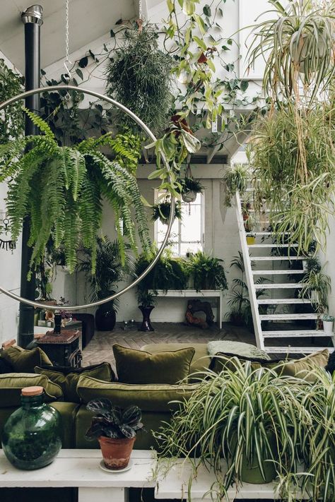 Plants everywhere inside Clapton Tram - a light warehouse space. Garden Concept, Jungle Decorations, Backyard Gardens, Lots Of Plants, Tanaman Indoor, Jungle House, Gardens Ideas, نباتات منزلية, Gardening Design