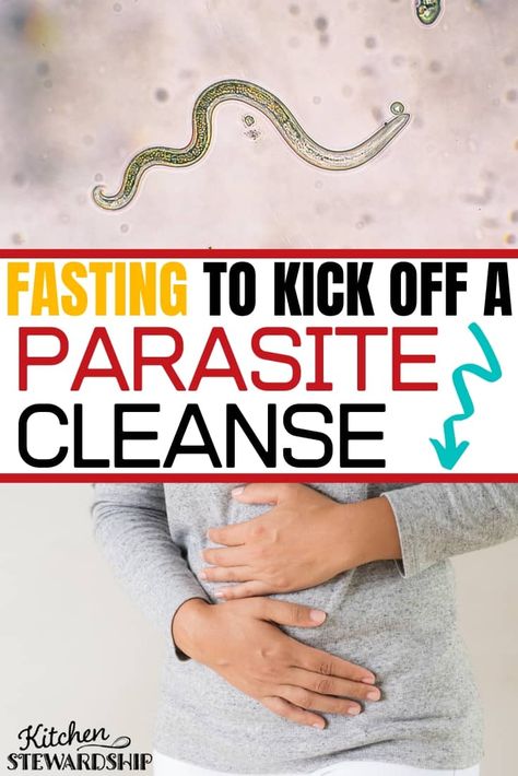 Mu husband and I completed a 4-day fast to kick off our parasite cleanse! Hear exactly what we did, symptoms you can expect and why you might try it yourself! #naturalremedies #naturalhealth Parasite Cleanse Diet, Parasites Symptoms, Cleaning Your Colon, Parasite Cleanse, Flatter Stomach, Health Blogger, Cleanse Recipes, Cleanse Your Body, Good Foods To Eat