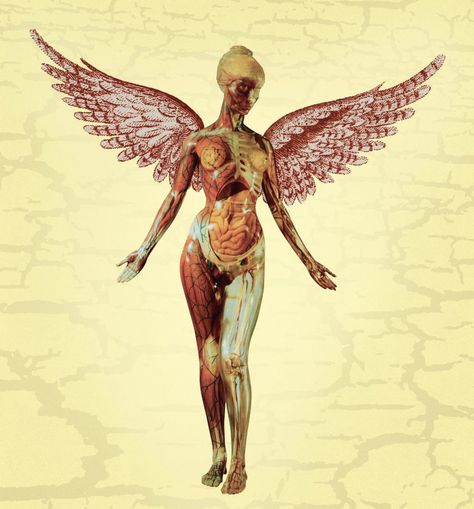 In Utero Wallpaper, Nirvana In Utero, In Utero, Nirvana, Ideas Style, Home Ideas, Style Inspiration, Human, Art