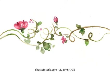 Vines Flowers Watercolor Minimalist Style Purple Stock Illustration 2149754775 | Shutterstock Watercolor Vines Flowers, Painted Vines And Flowers, Vines Flowers, Vine Flowers, Vine Drawing, Vines And Flowers, Hanging Vines, Watercolor Flower Art, Flowers Watercolor