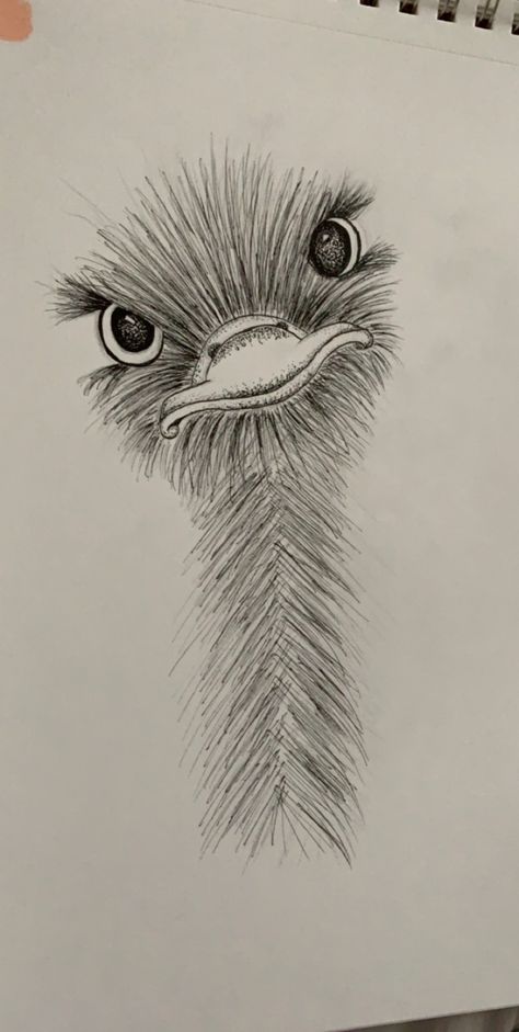 little ostrich friend :) #art #animalart #drawing #sketch Easy Pencil Drawings, Organizator Grafic, Drawing Eyes, Siluete Umane, 흑백 그림, Seni Cat Air, Lukisan Cat Air, Pencil Art Drawings, Arte Animal