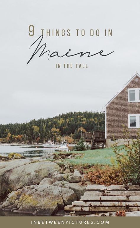 Things To Do In Maine, Trip To Maine, Acadia Maine, Maine In The Fall, Travel Local, Maine Road Trip, Maine Trip, Visit Maine, England Trip