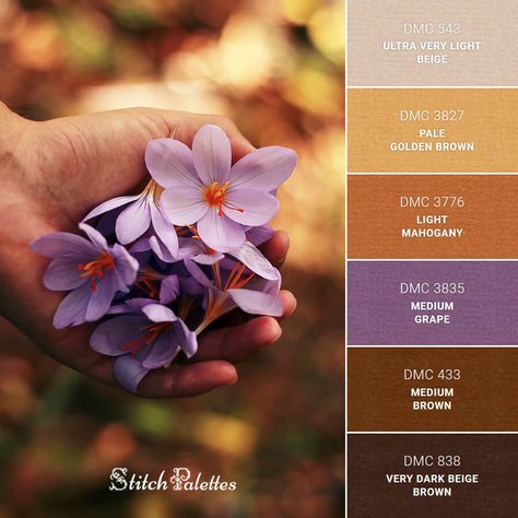 Embroidery Color Palette, Purple Palette, Pantone Colour Palettes, Color Schemes Colour Palettes, Design Seeds, Thread Colors, Color Palette Design, Color Psychology, Color Inspo