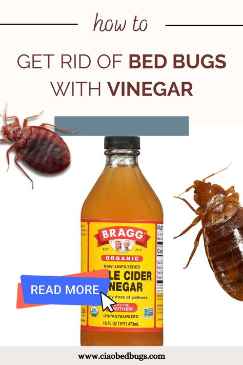 Bed bugs on a picture being treated with vinegar - a natural and eco-friendly pest control solution. Diy Bed Bug Spray, Bedbugs Removal Diy, Bed Bugs How To Get Rid Of, Bed Bug Bites Remedies, Bed Bug Remedies, Bedbugs Removal, Bug Bites Remedies, Homemade Beds, Get Rid Of Bed Bugs