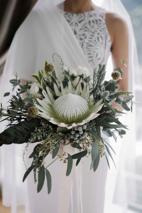 arctic white king proteas bouquet wedding time taken to make a dress timetakentomakeadress eufloria.sg White King Protea Bouquet, White Protea Bouquet Wedding, White Protea Bouquet, Proteas Bouquet, Wedding Pallettes, Protea Bouquet Wedding, King Protea Bouquet, White King Protea, Winter Wedding Flowers Bouquets