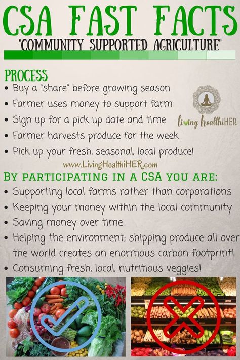 Urban Sustainability, Veggie Stand, Seed Library, Csa Farm, Farmer Market, Community Supported Agriculture, Fit Inspired, Farm Gate, Farm Business