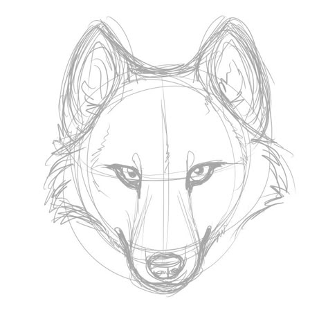 Wolf Head Drawing, Wolf Face Drawing, Skitse Bog, Lup Singuratic, Wolf Sketch, Canine Drawing, Desen Realist, 동화 삽화, Wolf Face