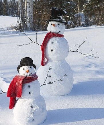 A snowman family: three snowmen sitting around a table. Description from pinterest.com. I searched for this on bing.com/images Creative Snowman, Snowmen Pictures, Snow Sculptures, Snow Art, Snow Fun, I Love Winter, Winter Festival, Build A Snowman, Winter Love