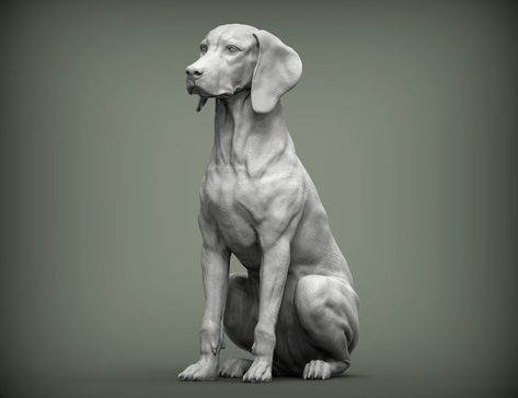 🐾 3D Printed Hungarian vizsla Hungarian Pointing Dog Statue: Bringing the Love of Dogs into Your Home Decor(etc..) 🏡  Model differences (if any) will be asked to you via DM after purchase; like a long or short tail 🐶 This is a 3D Printed Cute and Chic Dog Statue. Whether for home decor, office decor, desk decor, or memorial purposes, it adds elegance to any environment. 🎁 You can choose this statue as a gift for animal and dog lovers or for someone special on occasions like Christmas, birthd Sculpture Diy, Hungarian Vizsla, 3d Dog, 3d Studio, Dog Sculpture, Dog Statue, Different Dogs, 3d Printable, Print Models