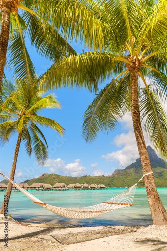 Bora Bora Island, Palm Trees Painting, Awesome Nature, Custom Wall Murals, Fabric Wall Art, Bora Bora, Seascape Paintings, Tropical Beach, Beach Themes