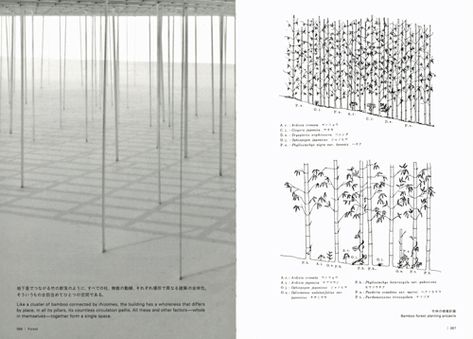 Junya Ishigami - Another Scale Of Architecture (Revised Reprint) Architecture Representation, Junya Ishigami, Architecture Concept Diagram, Concept Diagram, Architecture Concept, Riyadh, Concept Architecture, Architecture Project, Natural Environment