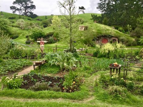 Hobbiton New Zealand, Cube World, Hobbit Hole, Hobbit House, Dream Cottage, The Shire, Pretty Landscapes, Geodesic Dome, Red Door