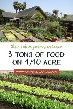 Would you believe it’s possible to grow 60,000lbs of organic fruits and veggies per acre? According to Urbanhomestead.org they can produce approximately 3 tons of food annually (2009) on only 1/10 of an acre in their urban yard. If conditions are ideal, scaling this method up could result in a tremendous amount of food per acre. #urbanfarm #urbanfarming #organicfarm #organicgardening Permaculture Garden, Urban Homestead, Acre Homestead, French Country Garden, Permaculture Gardening, Meteor Garden 2018, Urban Homesteading, Gardening Books, Garden Route