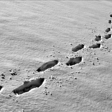 Footprints In The Snow, Painting Snow, Drawing Inspo, The Snow, For Free, Quick Saves