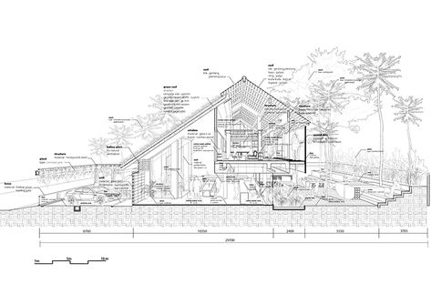 Tropical Architecture, Roof Architecture, Architectural Section, Design Guidelines, Building Section, Tropical Houses, Pitched Roof, Green Roof, Local Design