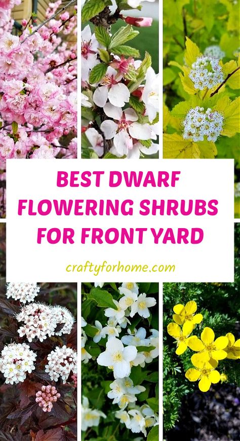 Slow Growing Shrubs Front Yards, Low Bushes For Front Of House, Landscape Design Front Of House Foundation Planting, Short Bushes In Front Of House, Small Flowerbeds Front Of House, Front Yard Window Landscaping Ideas, Adding Parking To Front Yard, Front Garden Shrubs, Tall Flowering Shrubs