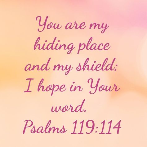 Psalm 119:114 Psalm 119 114, Prayer Inspiration, Happy Sabbath, Book Of Psalms, Meditation Mantras, Encouraging Bible Verses, Biblical Inspiration, Psalm 119, King Jesus