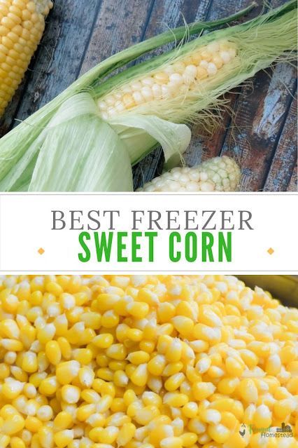 Preserve your harvest of corn this year with this easy Freezer Sweet Corn Recipe. Freezer Sweet Corn, Frozen Sweet Corn Recipe, Freezer Corn Recipe, Sweet Corn Recipes, Canning Peaches, Jam Recipes Homemade, Homegrown Food, Corn Seed, Corn Recipe