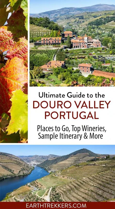 Douro Valley Travel Guide, Portugal. Visit the Douro Valley, the best wineries, with recommended restaurants, the best places to stay, how to plan your time, how to get around, and the best things to do in the Douro Valley. Douro River Cruise, Day Trips From Porto, Douro Valley Portugal, Portugal Porto, Portugal Travel Guide, Travel Secrets, Douro Valley, Travel Plan, River Cruise