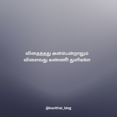 விதைத்தது அன்பென்றாலும் விளைவது கண்ணீர் துளிகளே @kavithai_blog ✨ #tamilsadquotes Akka Thangachi, Quotes In Tamil, Tamil Quotes, Photo Album Quote, Photo Album, Life Quotes, Quotes, Quick Saves