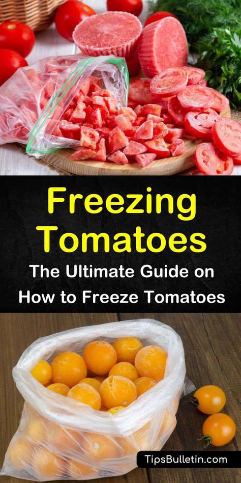 How To Freeze Garden Tomatoes, Freezing Fresh Diced Tomatoes, How To Freeze Diced Tomatoes, Freezing Tomatoes For Salsa, Freezing Diced Tomatoes Easy, Refrigerator Salsa With Fresh Tomatoes, How To Freeze Green Tomatoes, How To Freeze Fresh Tomatoes, Freeze Diced Tomatoes