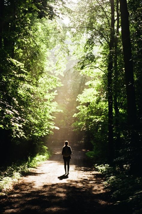 That's me walking down the path toward the light and enjoying the forest and the sounds and feeling stress free.....I can only hope Visuell Identitet, Natures Path, Woods Photography, Forest Path, Shoot Film, Dirt Road, Shooting Photo, Walk In The Woods, Those Days