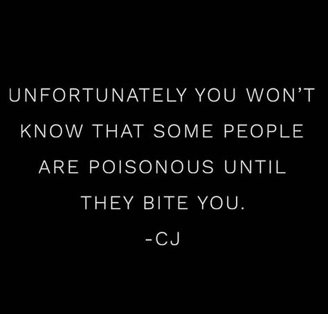 Snakes Are Everywhere Quotes, Some People Are Like Snakes Quotes, People Being Snakes Quotes, Fraud People Quotes, Friends That Are Snakes Quotes, Gloves Are Off Quotes, Be Careful Of Snakes Quotes, Watch Out For Snakes Quotes, Quotes About People Being Snakes